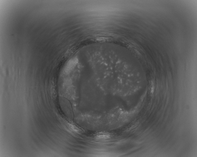 X0000066930653200604141959