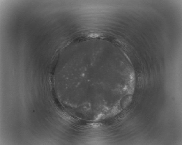 X0000066930654200604141959