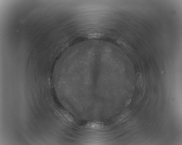 X0000066930655200604141959