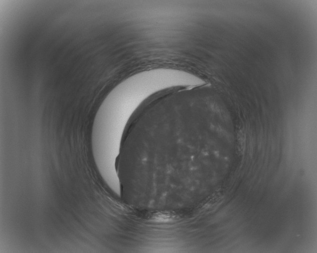 X0000066930657200604141959