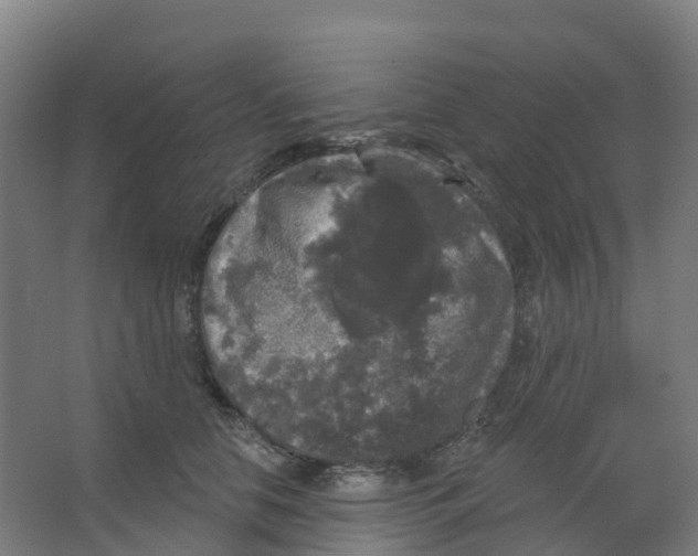 X0000066930658200604141959