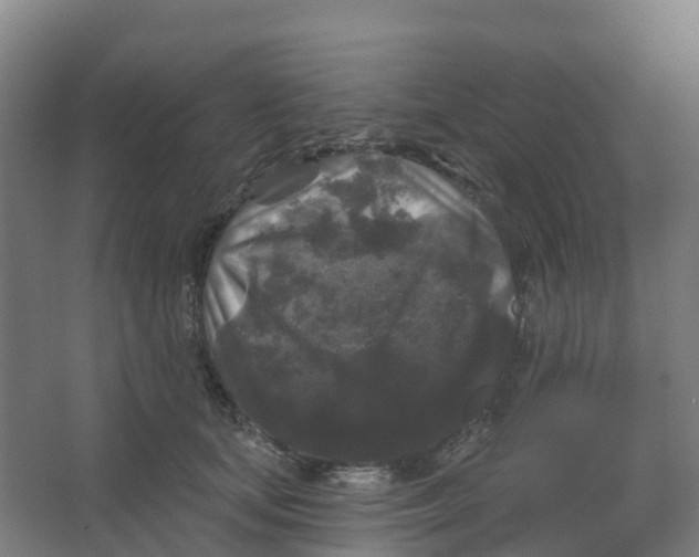 X0000066930659200604141959