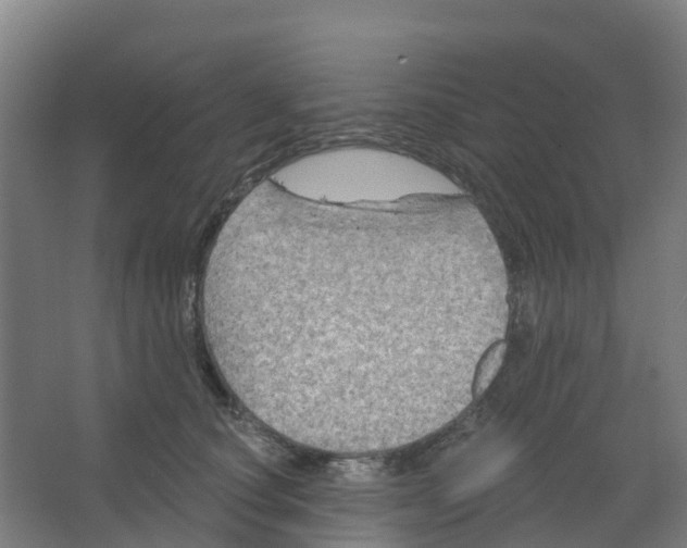 X0000066930660200604141959