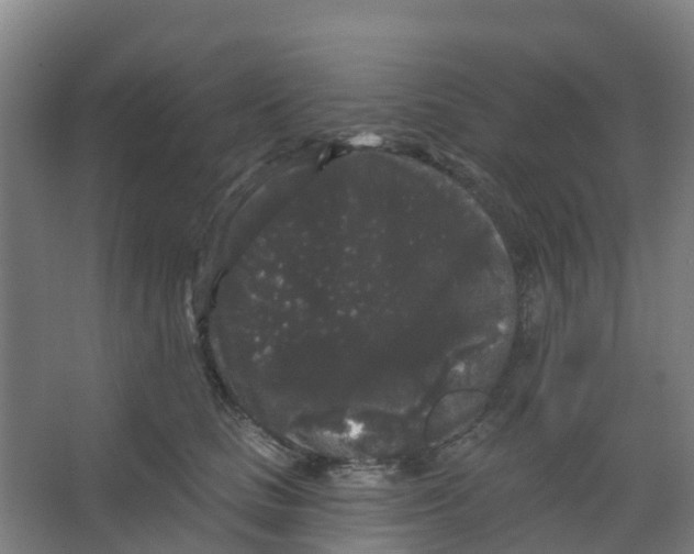 X0000066930661200604141959