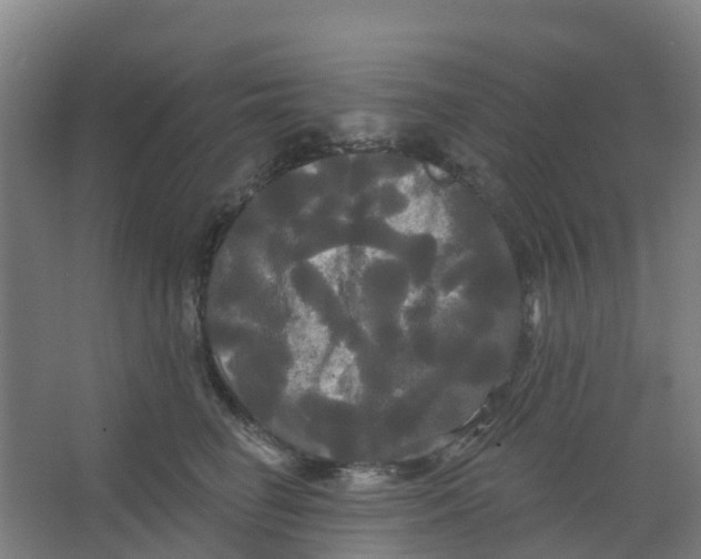 X0000066930662200604141959