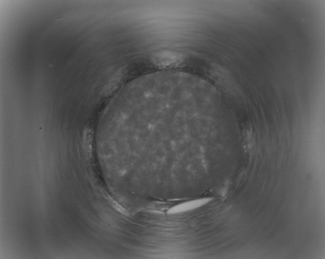 X0000066930664200604141959