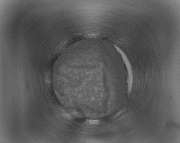 X0000066930665200604141959