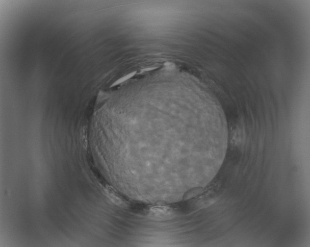 X0000066930666200604141959