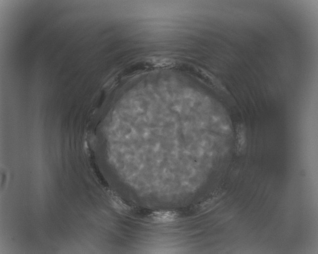 X0000066930667200604141959