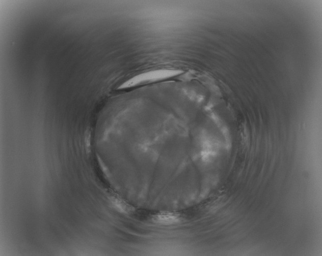 X0000066930668200604141959