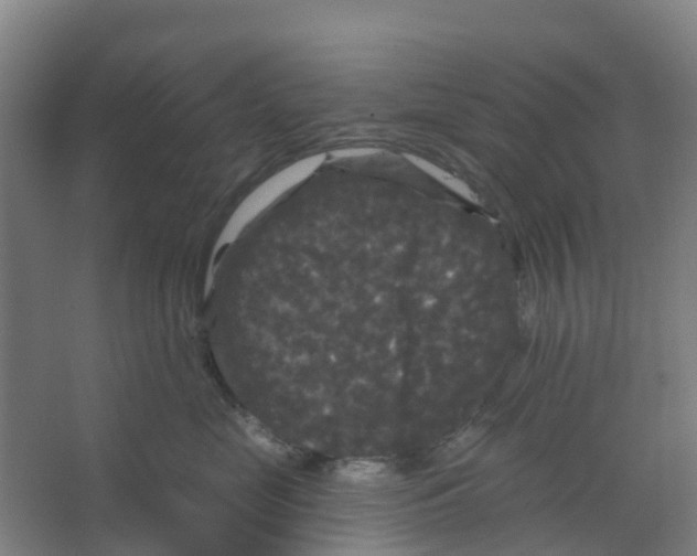 X0000066930669200604141959