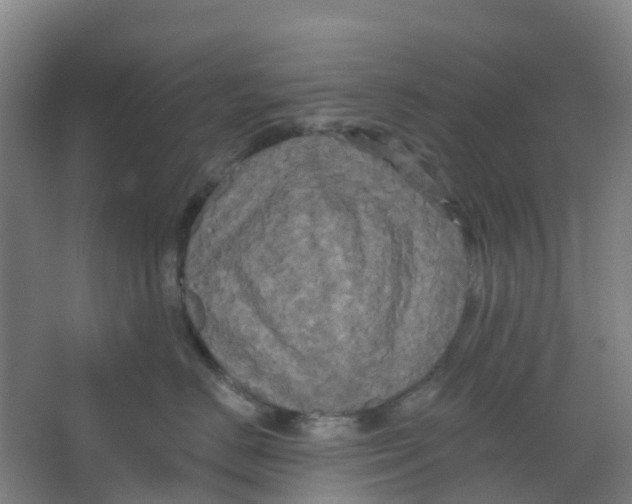 X0000066930670200604141959