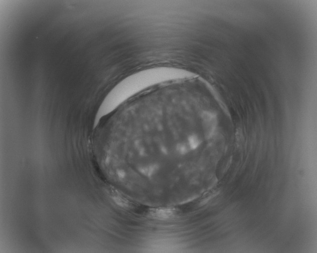 X0000066930671200604141959