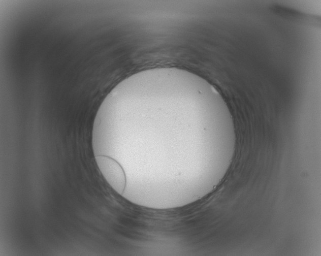 X0000066930672200604141959