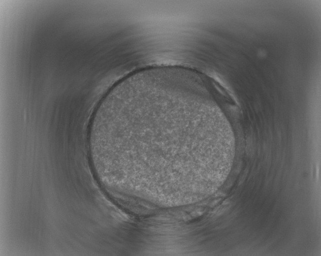 X0000066930673200604141958