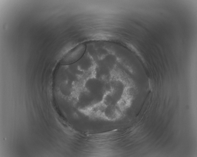 X0000066930675200604141958