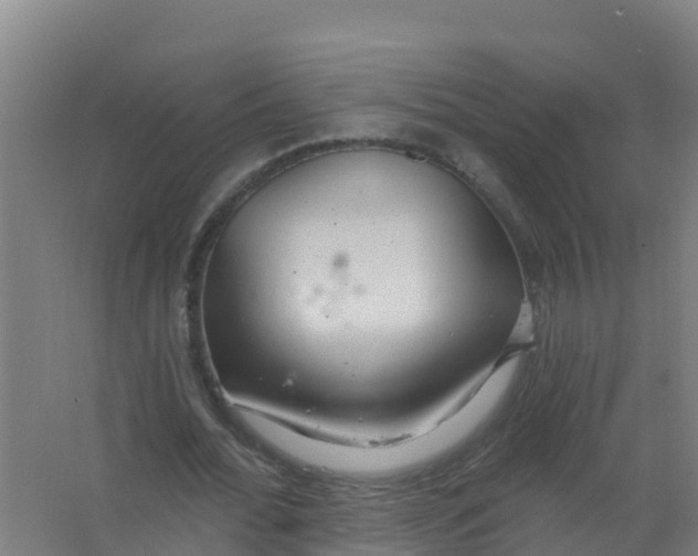 X0000066930676200604141958