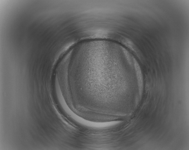 X0000066930677200604141958