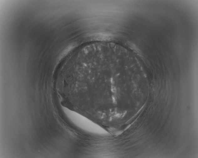 X0000066930679200604141958