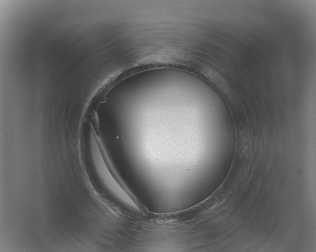 X0000066930680200604141958