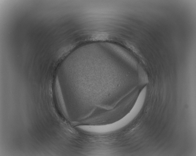 X0000066930681200604141958