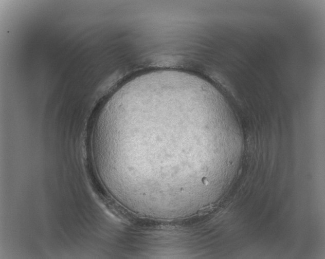 X0000066930682200604141958