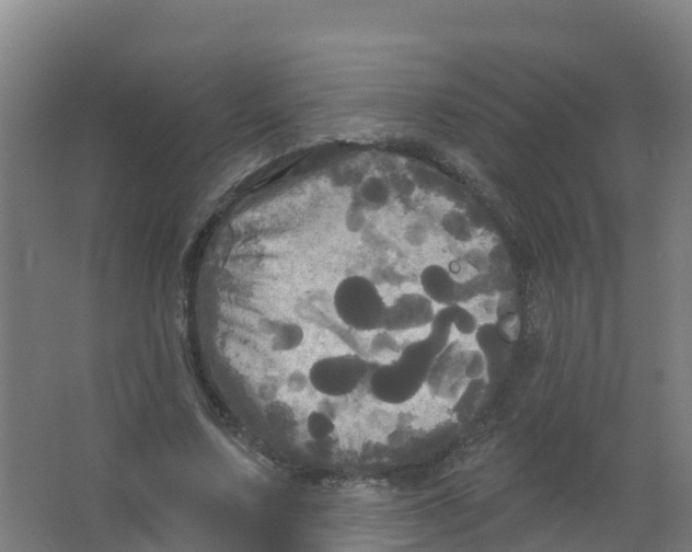 X0000066930683200604141958