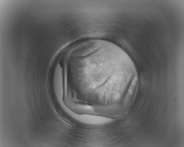 X0000066930684200604141958