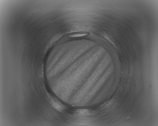 X0000066930685200604141958