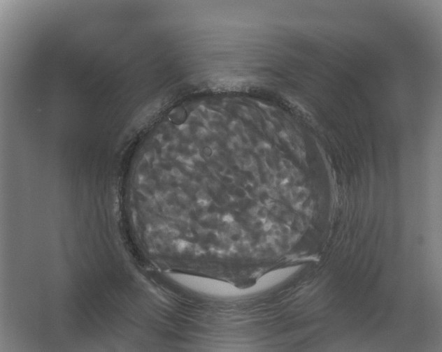 X0000066930687200604141958