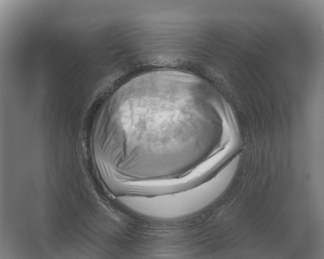 X0000066930688200604141958