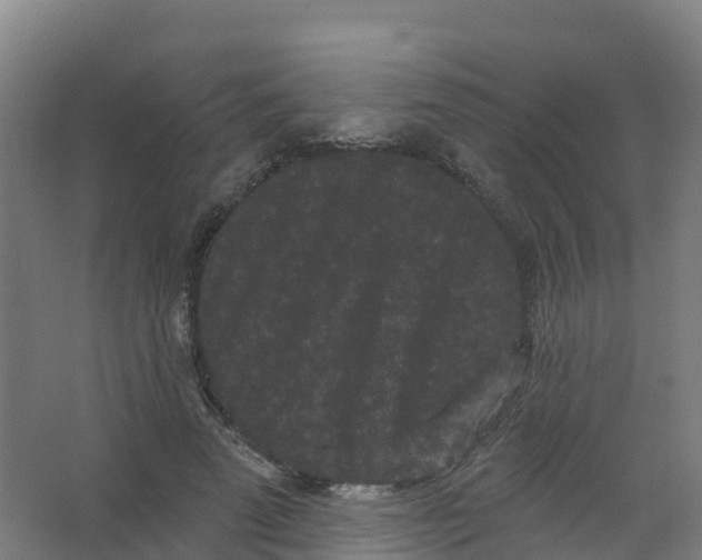 X0000066930689200604141958