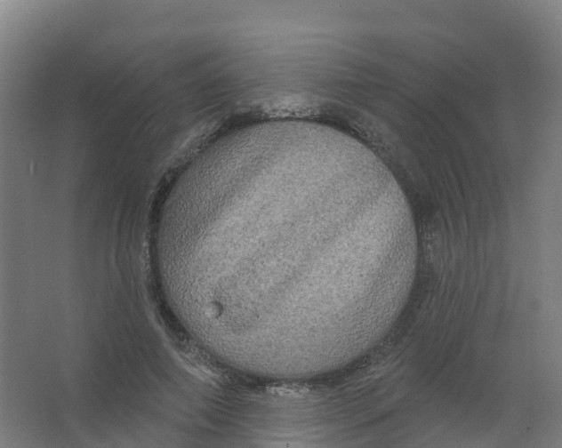 X0000066930690200604141958