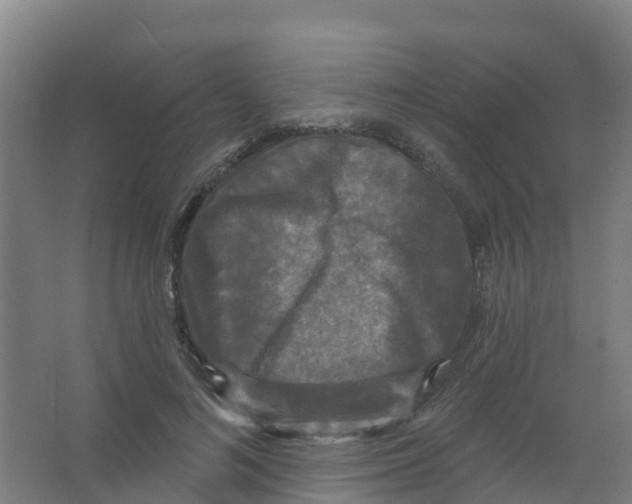 X0000066930692200604141958