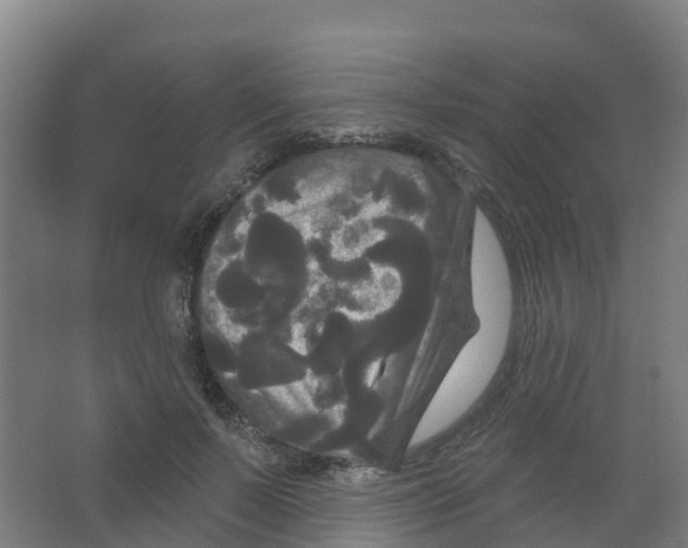 X0000066930695200604141958