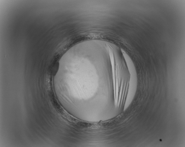 X0000066930696200604141958