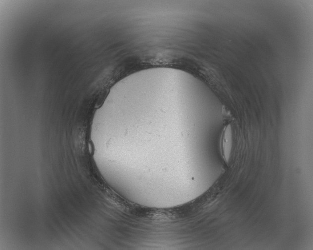 X0000066930697200604141958