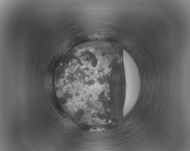 X0000066930699200604141958