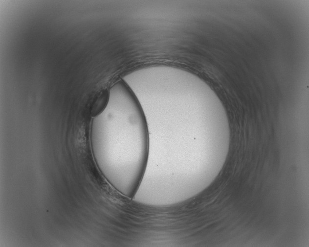 X0000066930700200604141958