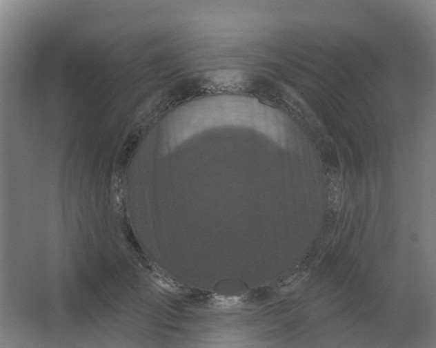 X0000066930701200604141958