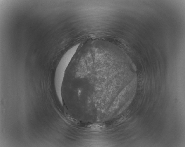 X0000066930703200604141958