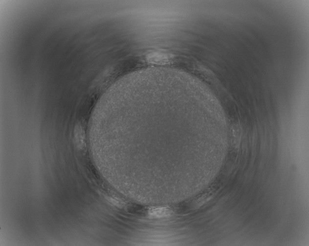 X0000066930705200604141958