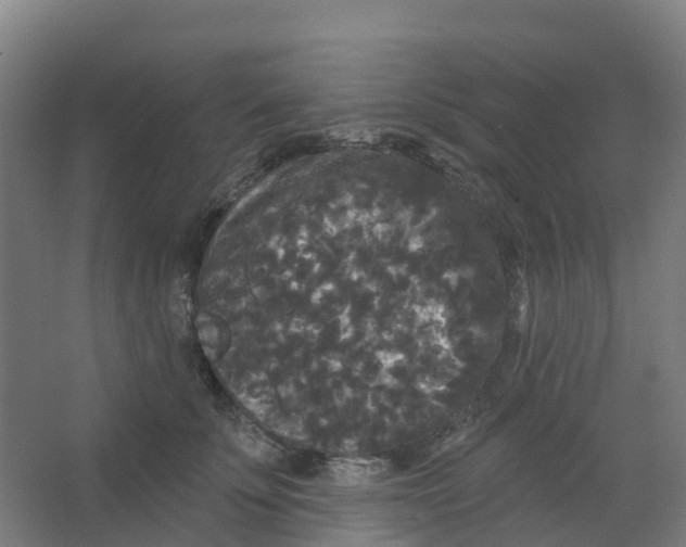 X0000066930707200604141958