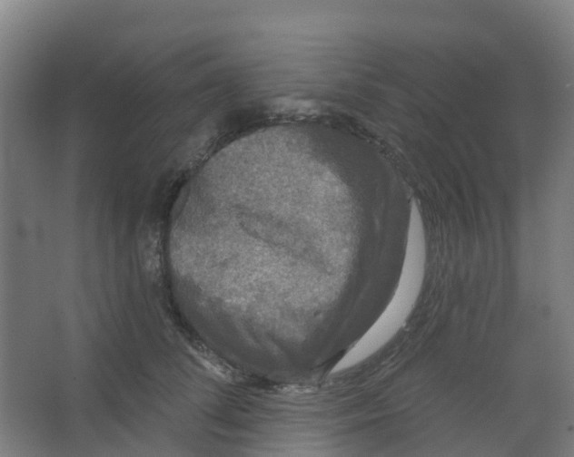 X0000066930708200604141958