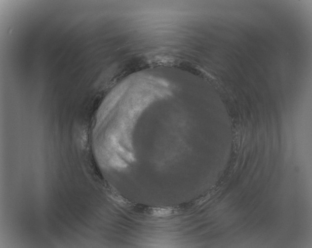 X0000066930709200604141958