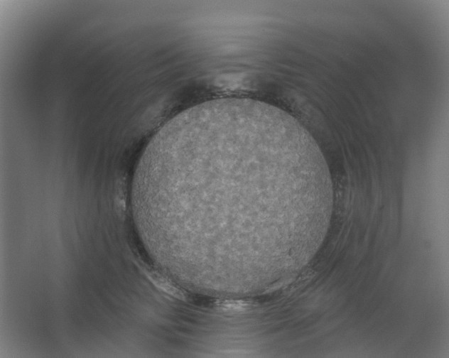 X0000066930710200604141958