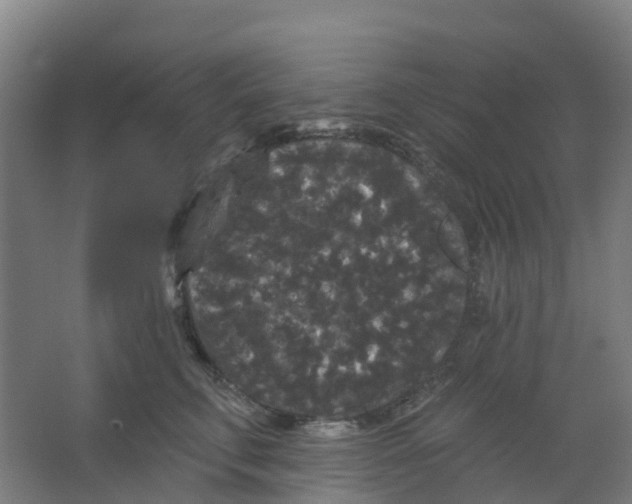 X0000066930711200604141958