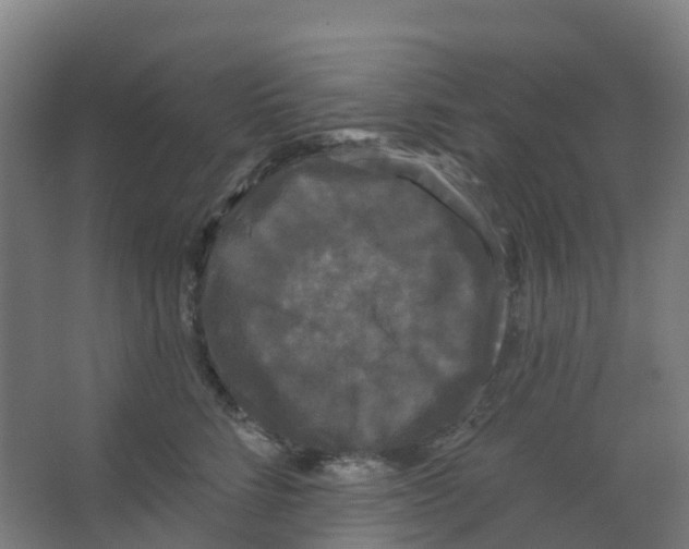 X0000066930712200604141958