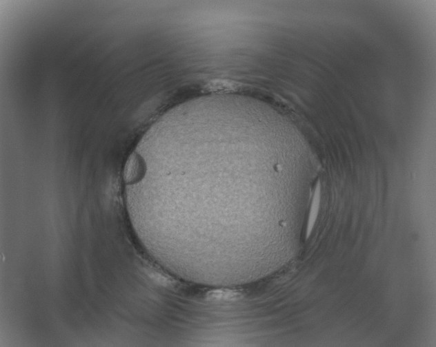 X0000066930714200604141958