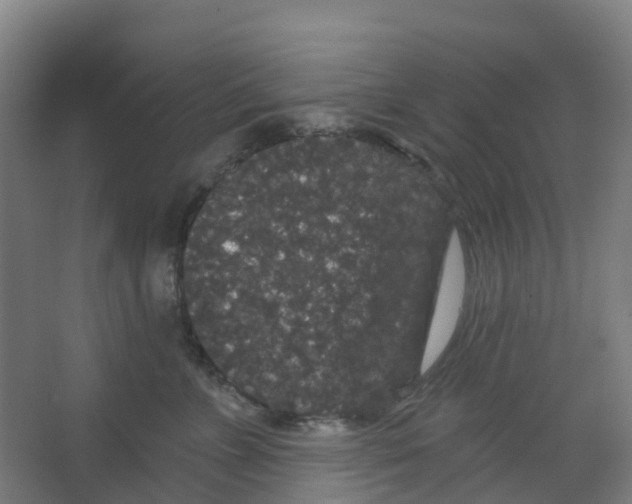 X0000066930715200604141958